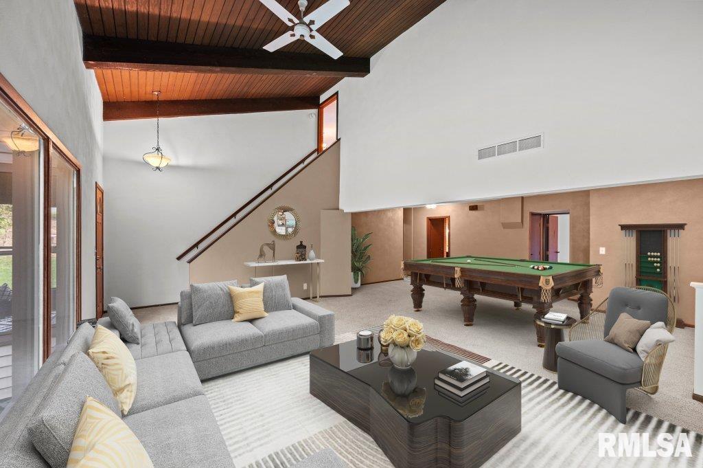 223 28th Avenue Moline, IL 61265 - Photo 22 of 44