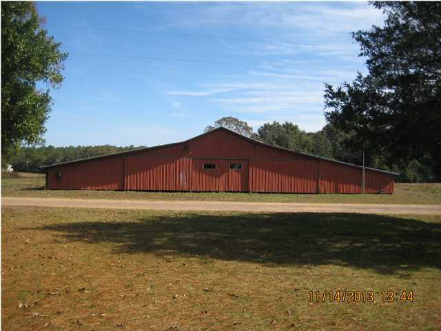 159-acres Engles Road DeFuniak Springs, FL 32433 - Photo 1 of 4 a backyard of a house