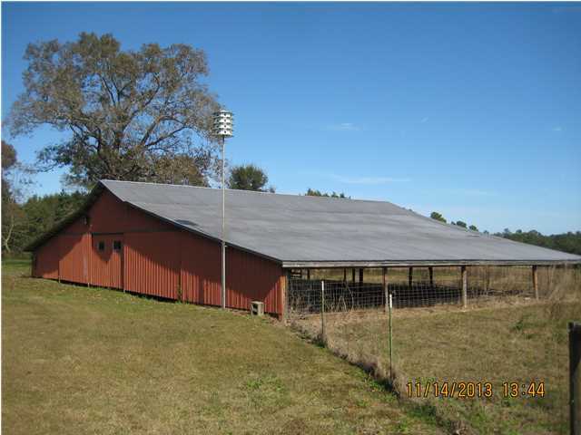 159-acres Engles Road DeFuniak Springs, FL 32433 - Photo 2 of 4 a backyard of a house with table and chairs