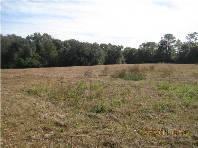 159-acres Engles Road DeFuniak Springs, FL 32433 - Photo 3 of 4 a view of an outdoor space and a yard