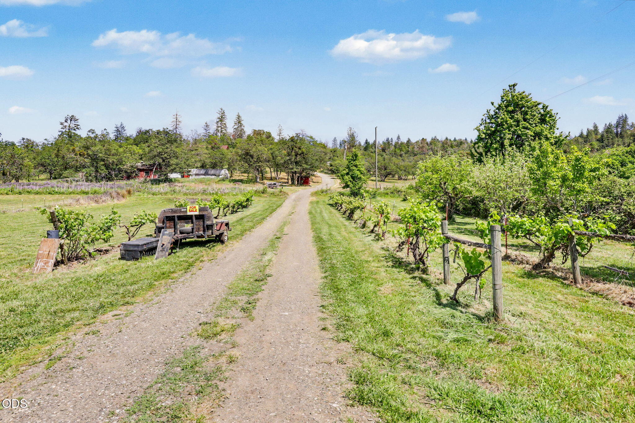 15336 Highway 62 Eagle Point, OR 97524 - Photo 40 of 50 40