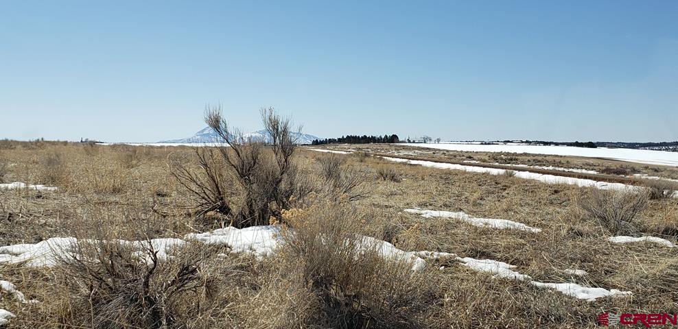 16160 Road Cc Road Pleasant View, CO 81331 - Photo 3 of 5 Gallery Image 3