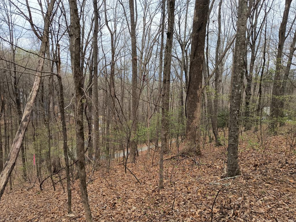 M99 Sleepy Hollow Road Ellijay, GA 30536 - Photo 2 of 13