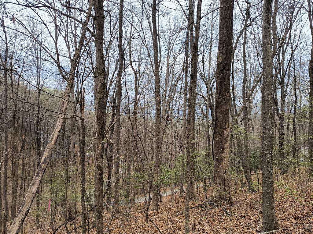 M99 Sleepy Hollow Road Ellijay, GA 30536 - Photo 3 of 13
