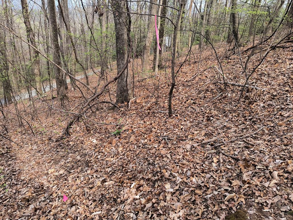 M99 Sleepy Hollow Road Ellijay, GA 30536 - Photo 6 of 13