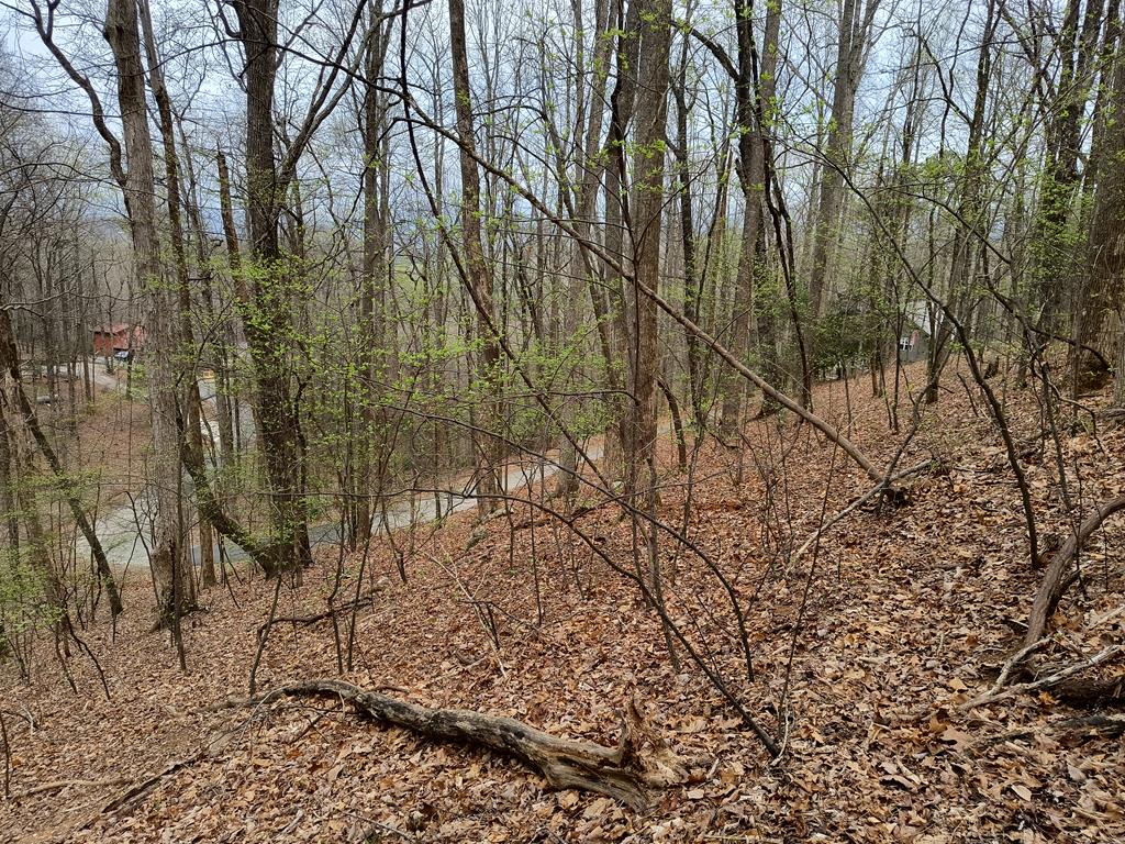 M99 Sleepy Hollow Road Ellijay, GA 30536 - Photo 8 of 13