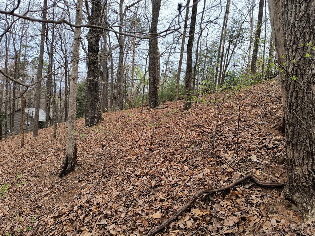 M99 Sleepy Hollow Road Ellijay, GA 30536 - Photo 10 of 13