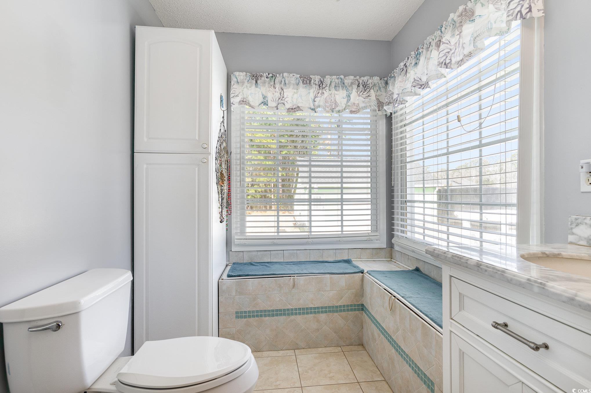 354 Deer Run Avenue Georgetown, SC 29440 - Photo 15 of 32 Bathroom featuring a textured ceiling, a sink, toi