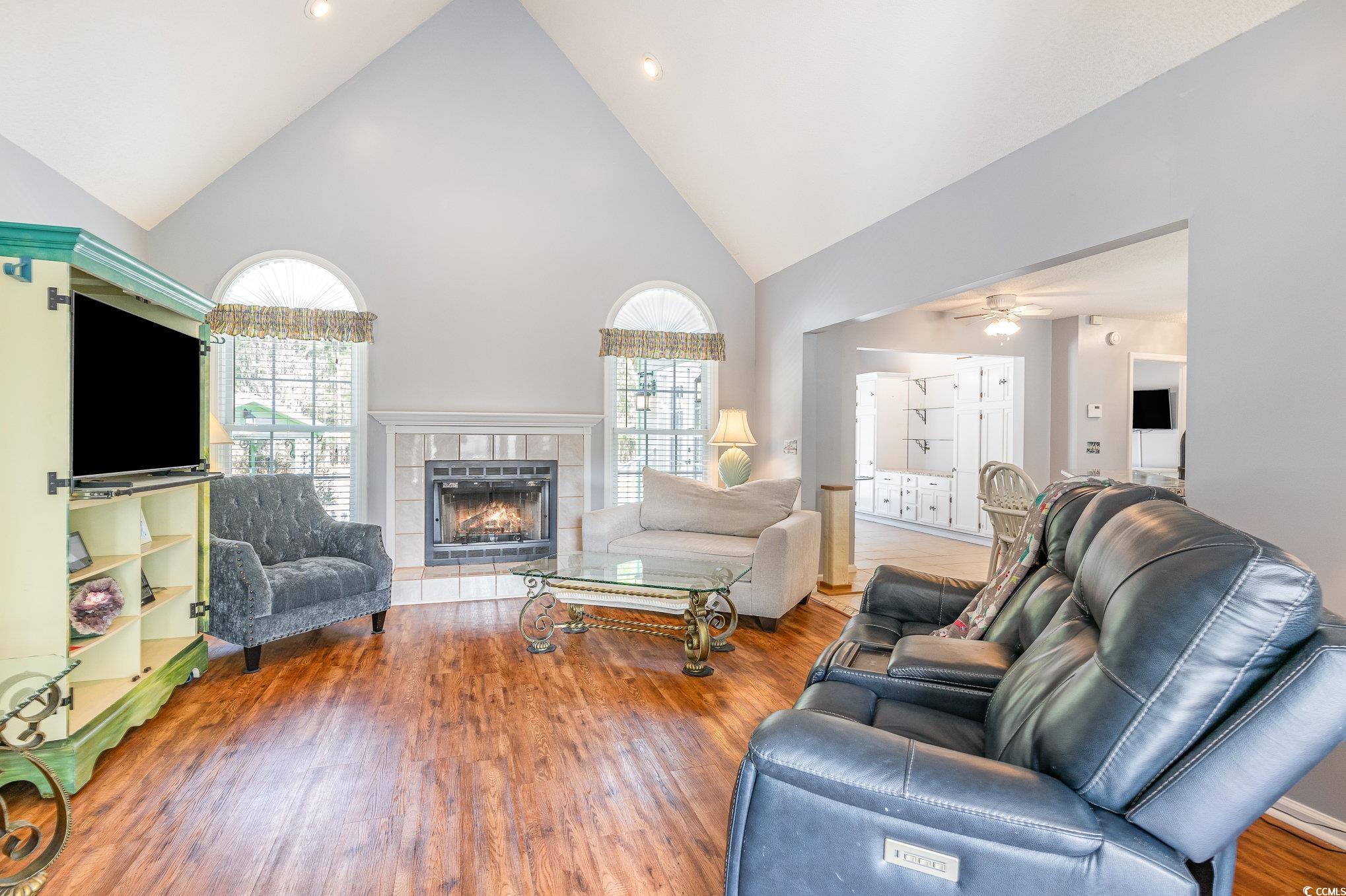 354 Deer Run Avenue Georgetown, SC 29440 - Photo 3 of 32 Living area featuring a fireplace, plenty of natur