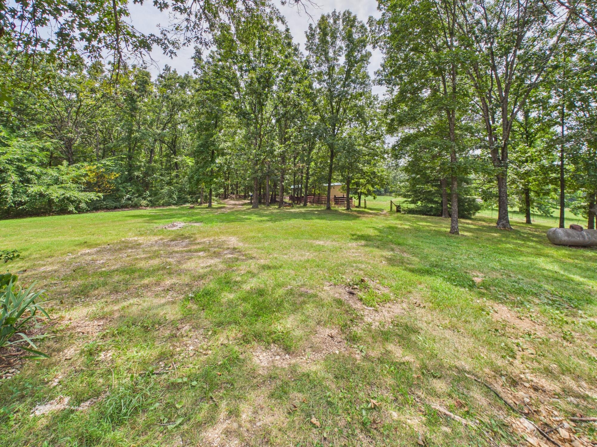 12283 Stave Mill Road Cabool, MO 65689 - Photo 110 of 150 CAM03368G0-PR0056-STILL114