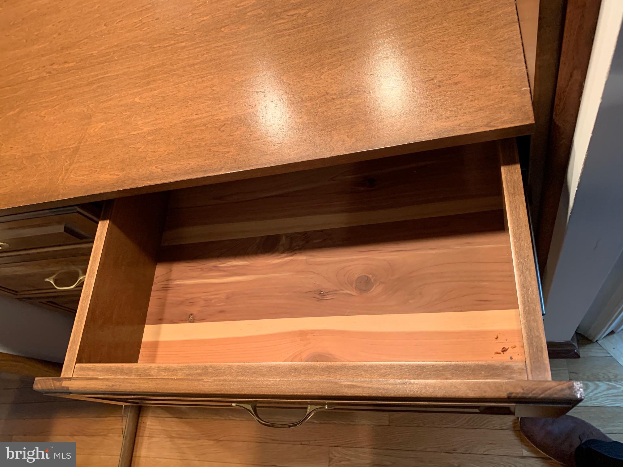 6313 Valley Road Bethesda, MD 20817 - Photo 19 of 21 Cedar lined drawers in Dressing area