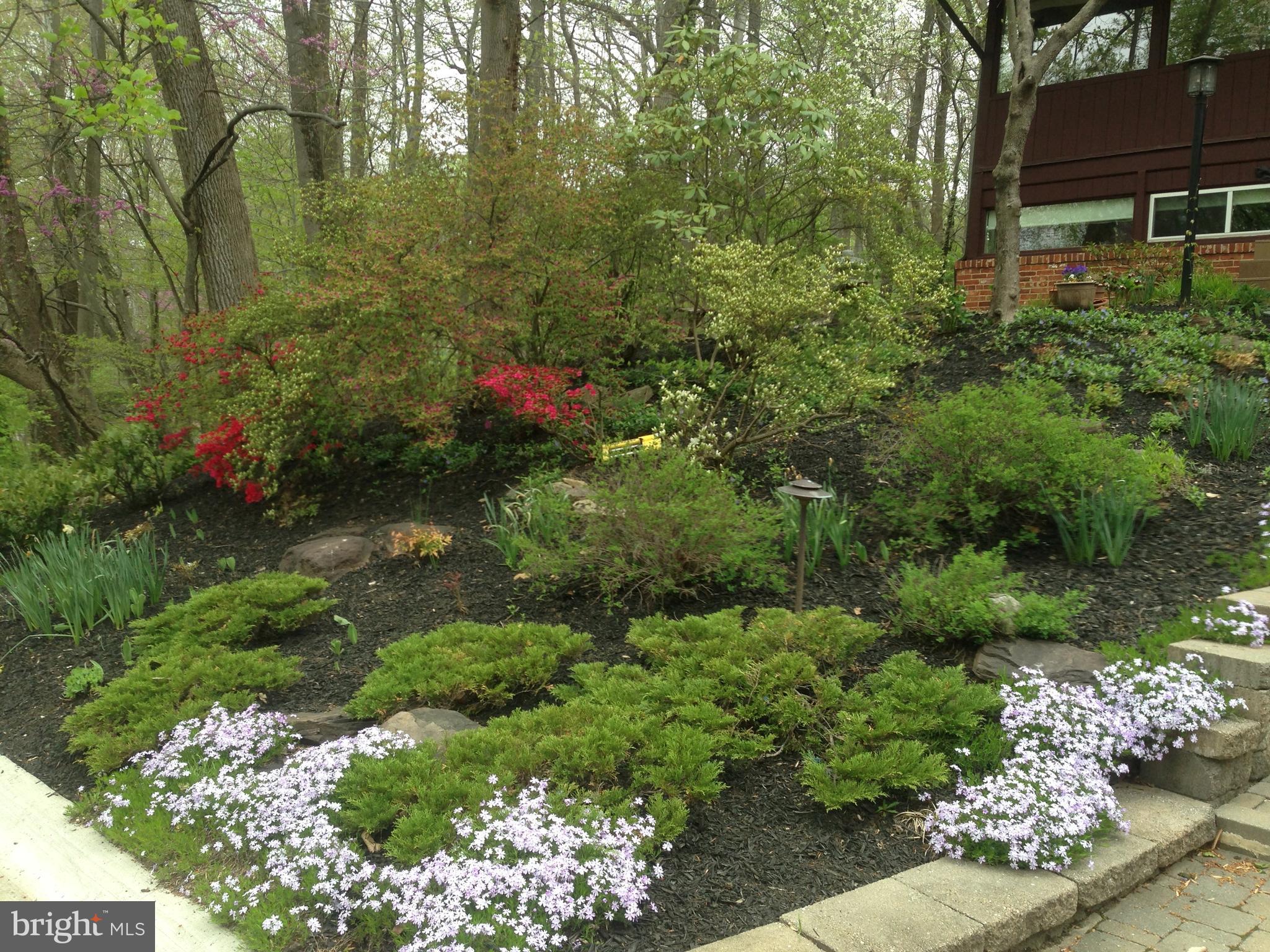 6313 Valley Road Bethesda, MD 20817 - Photo 4 of 21 Quiet Beauty