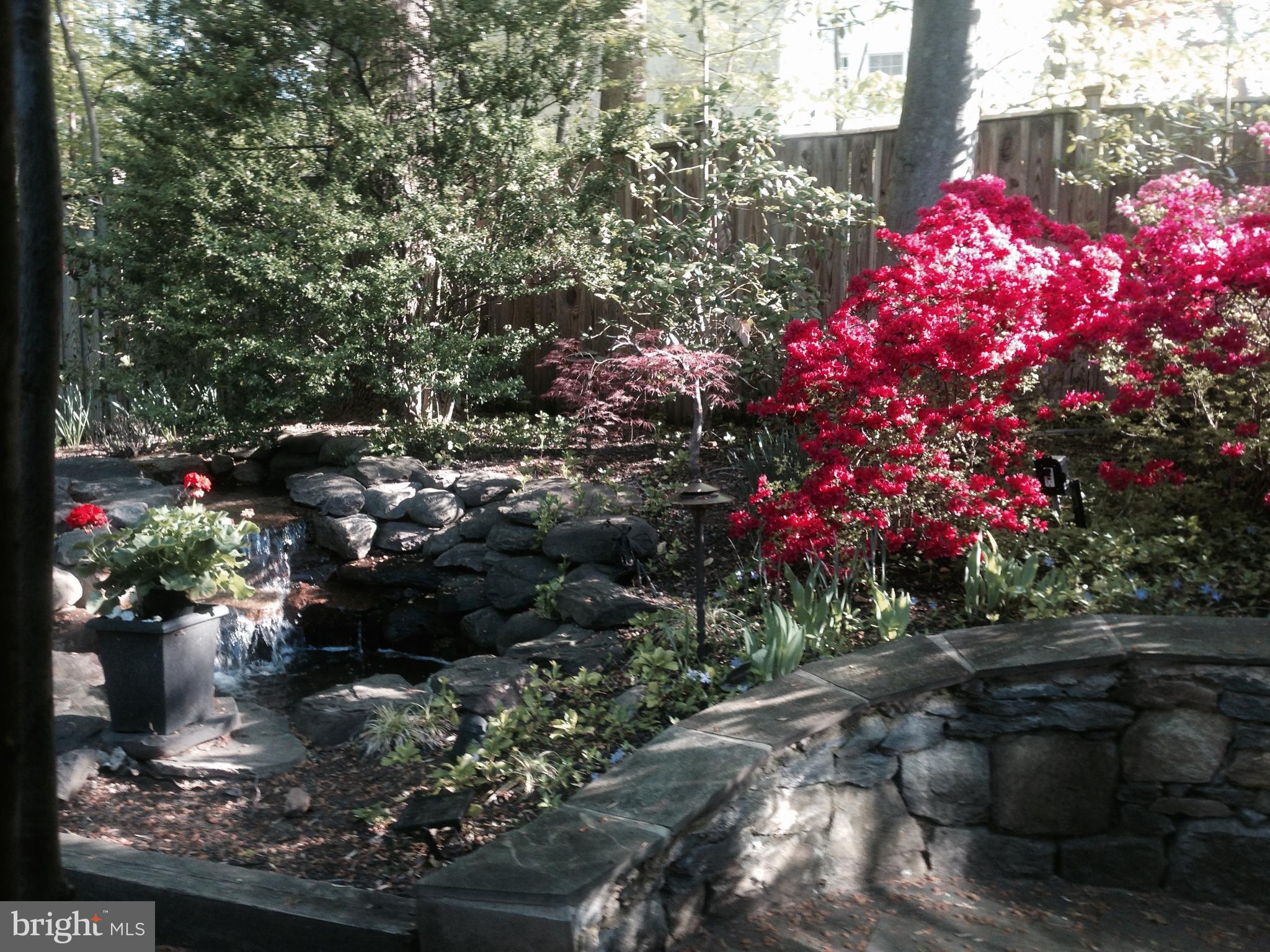6313 Valley Road Bethesda, MD 20817 - Photo 7 of 21 Back Patio and Garden