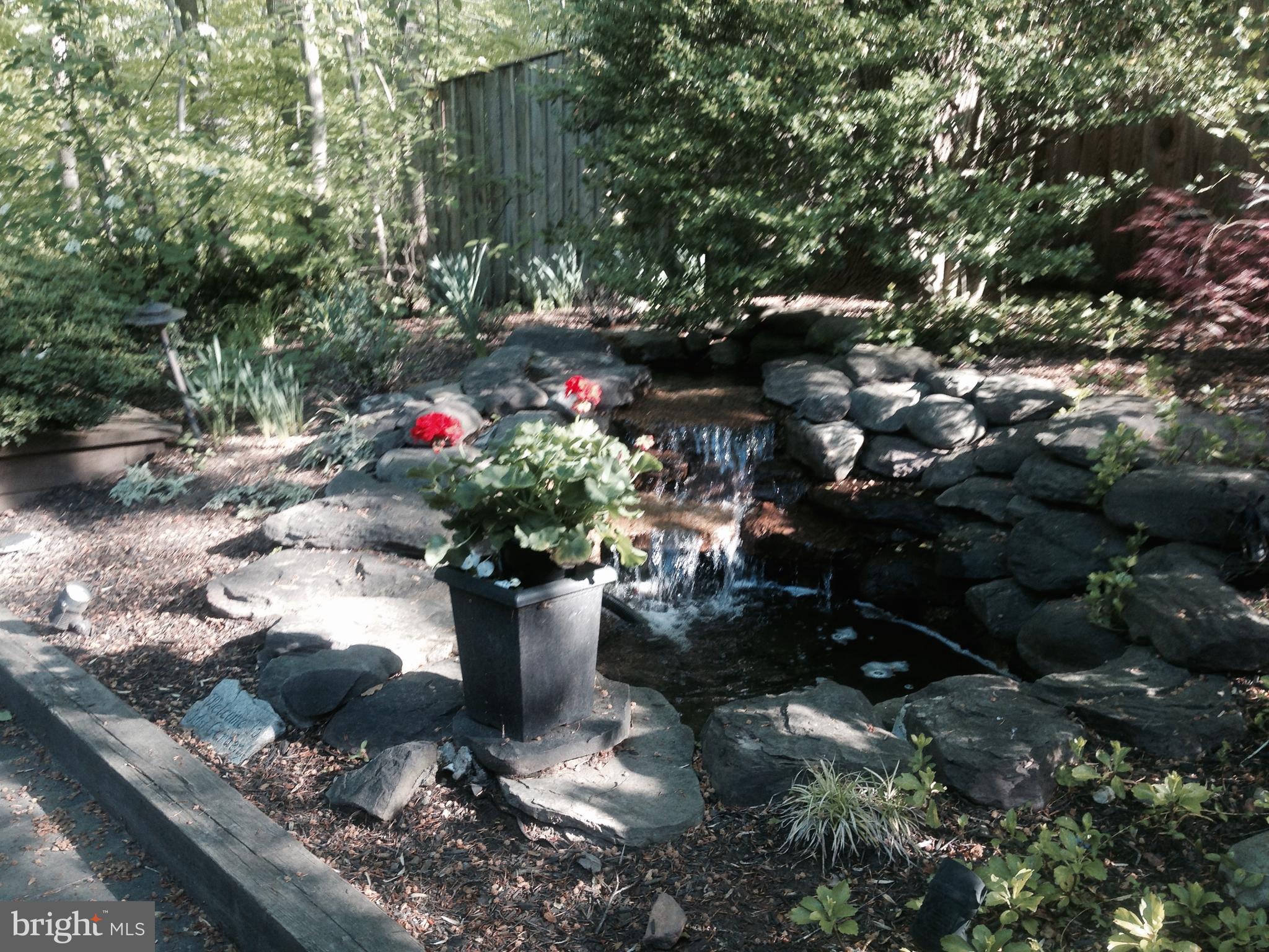 6313 Valley Road Bethesda, MD 20817 - Photo 8 of 21 Peaceful Oasis