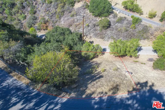 a view of a tree in front of a house