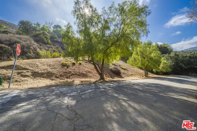 a view of a yard with a tree