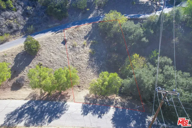 a view of a garden with potted plants