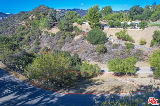 a view of a garden with plants