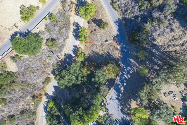 a view of a garden with plants