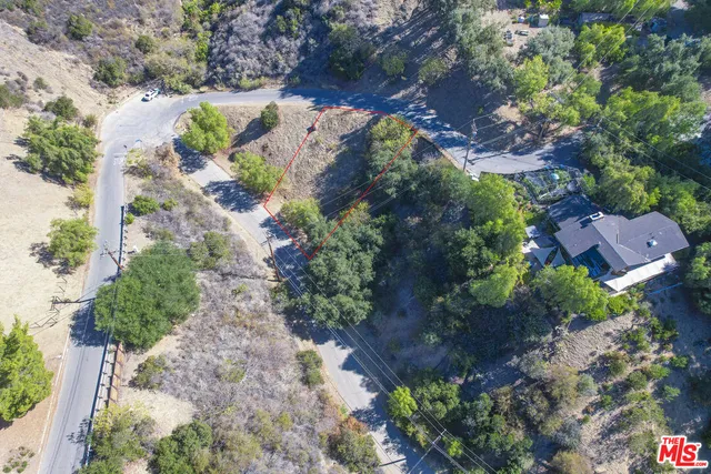 a view of a garden with plants and a bench