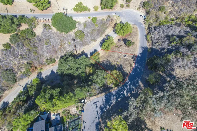 a view of a yard with plants and large trees