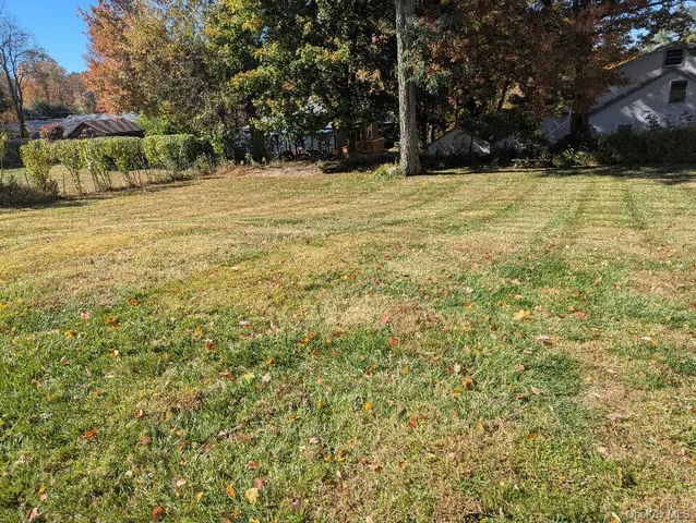 a view of a yard with a trees