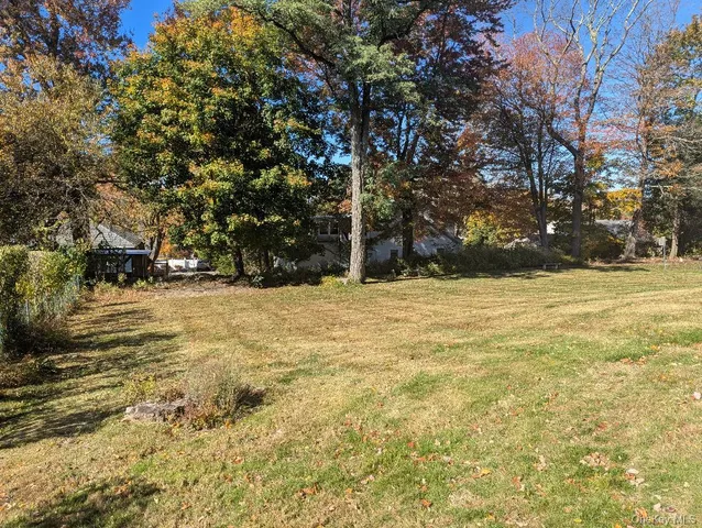 a view of road with large trees