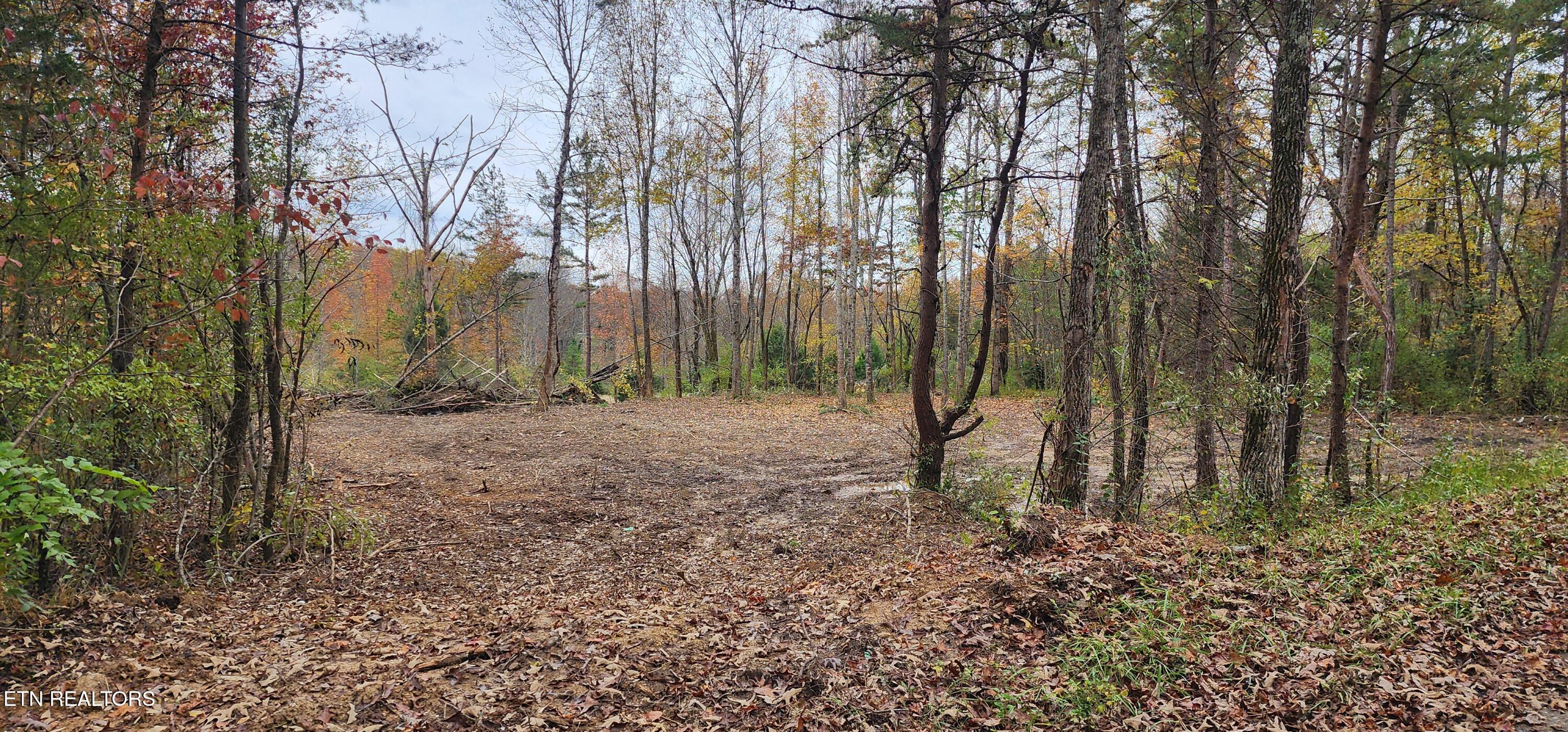 611 Edward Smith Road Robbins, TN 37852 - Photo 11 of 28 20251101_160936