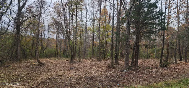 $82,000 | 611 Edward Smith Road, Robbins, TN 37852