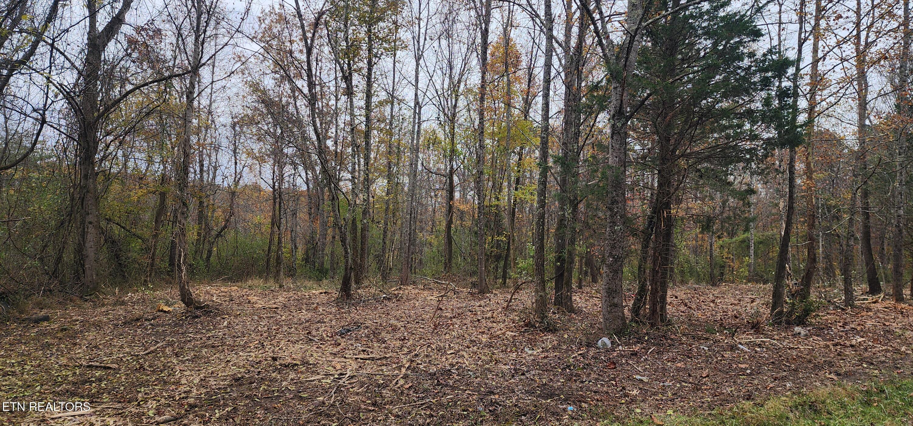 611 Edward Smith Road Robbins, TN 37852 - Photo 12 of 28 20251101_161035