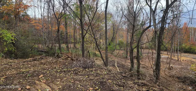 $82,000 | 611 Edward Smith Road, Robbins, TN 37852