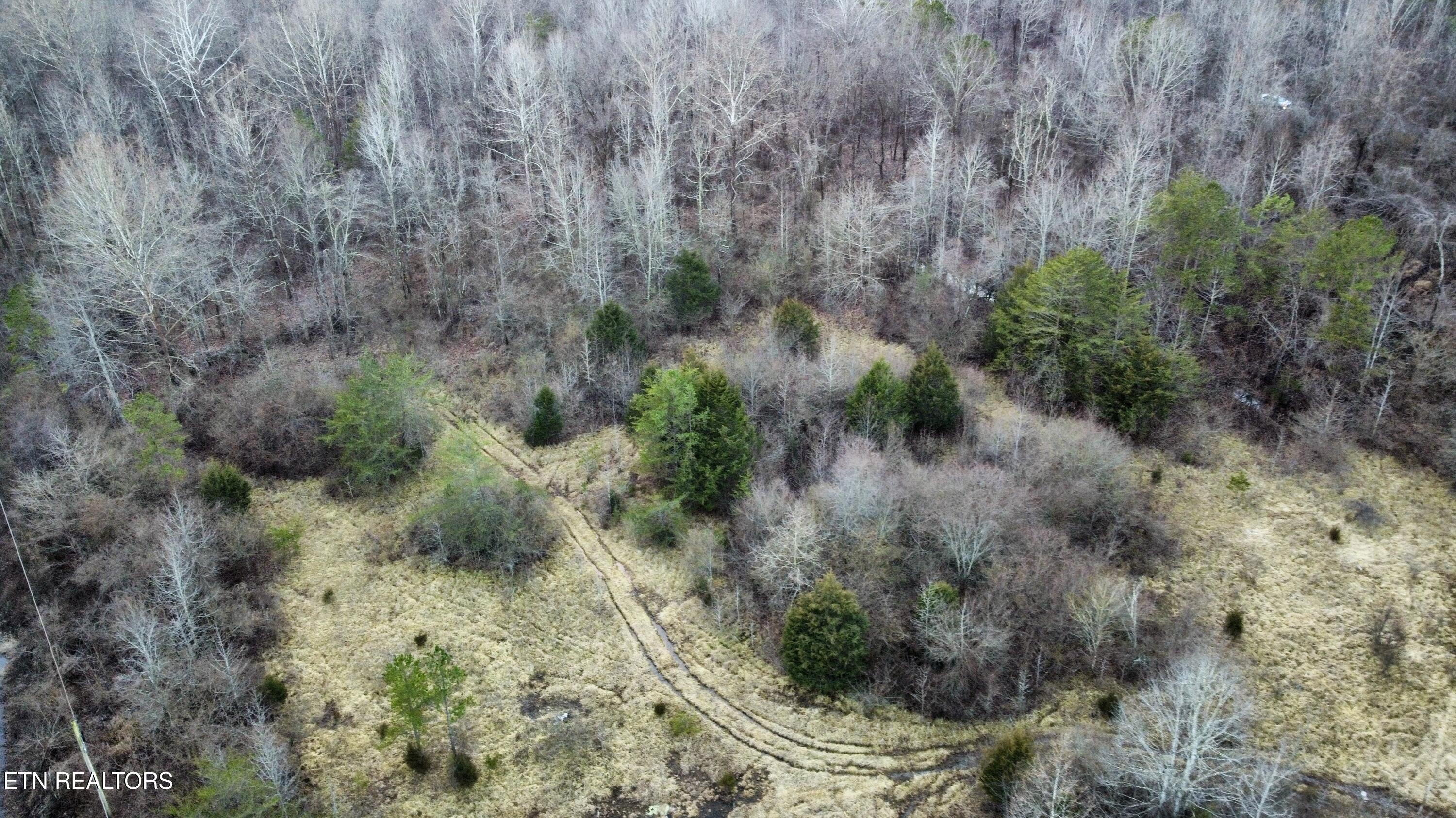 611 Edward Smith Road Robbins, TN 37852 - Photo 14 of 28 Photo Feb 01 2025, 5 56 24 PM