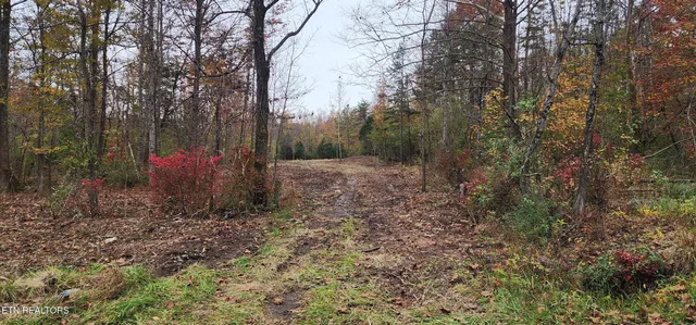 $82,000 | 611 Edward Smith Road, Robbins, TN 37852