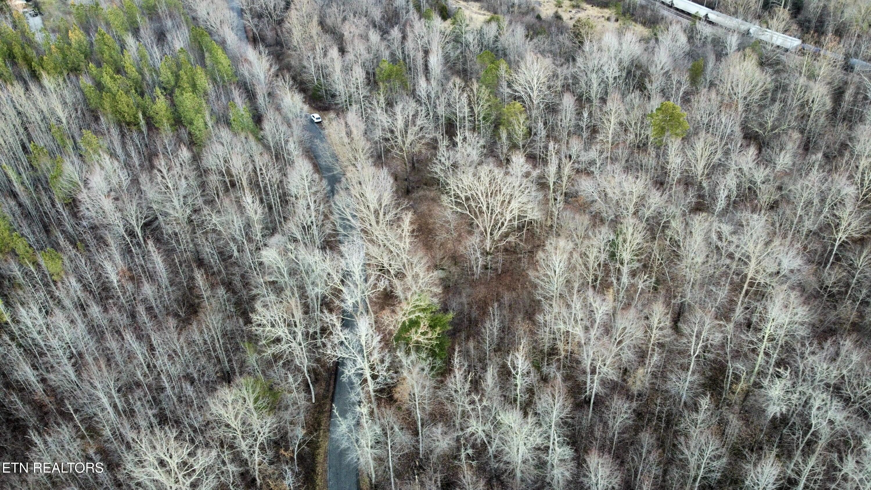 611 Edward Smith Road Robbins, TN 37852 - Photo 23 of 28 Photo Feb 01 2025, 5 59 50 PM