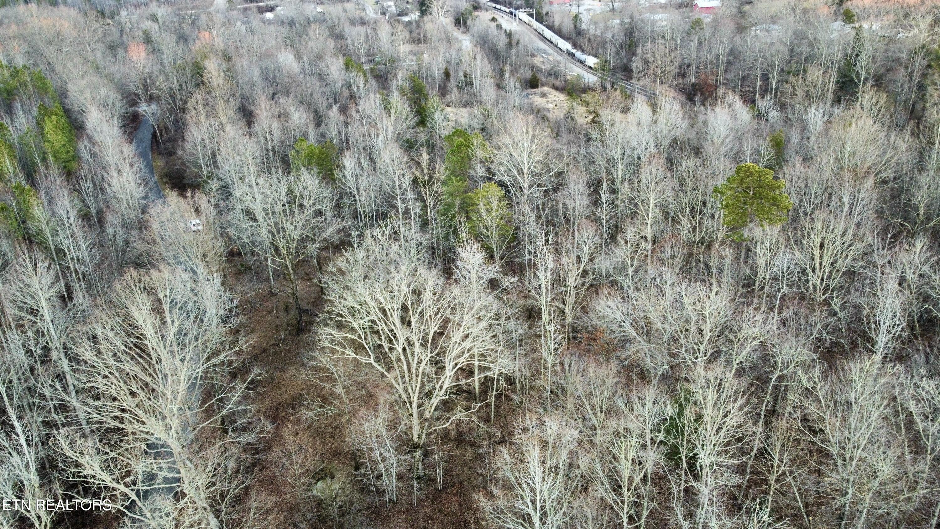 611 Edward Smith Road Robbins, TN 37852 - Photo 24 of 28 Photo Feb 01 2025, 6 00 12 PM