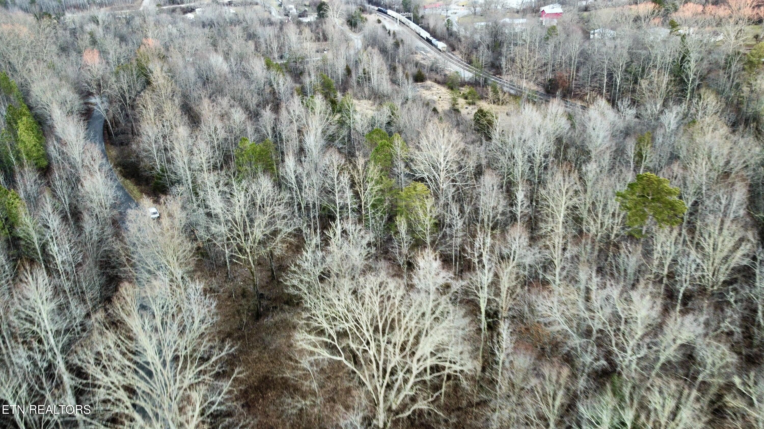 611 Edward Smith Road Robbins, TN 37852 - Photo 25 of 28 Photo Feb 01 2025, 6 00 16 PM