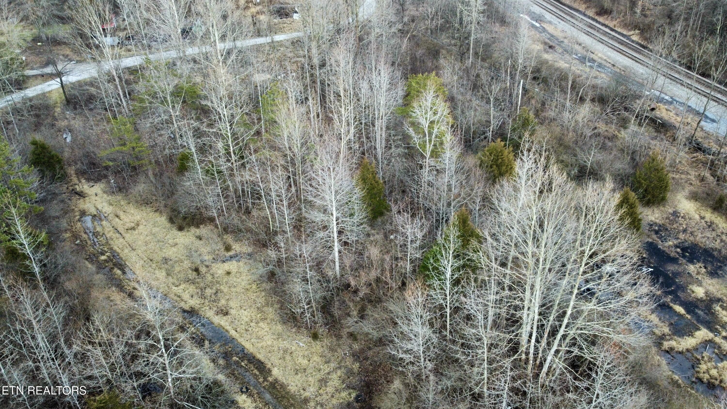 611 Edward Smith Road Robbins, TN 37852 - Photo 26 of 28 Photo Feb 01 2025, 6 01 05 PM