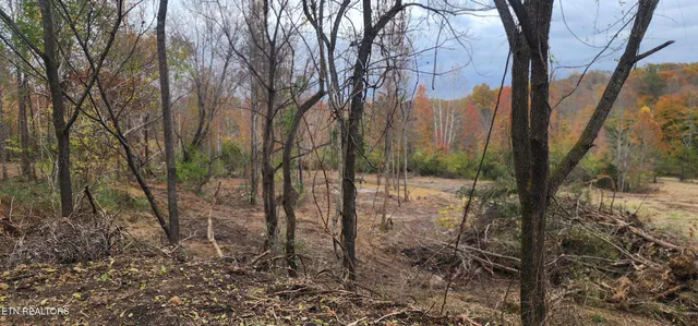 $82,000 | 611 Edward Smith Road, Robbins, TN 37852