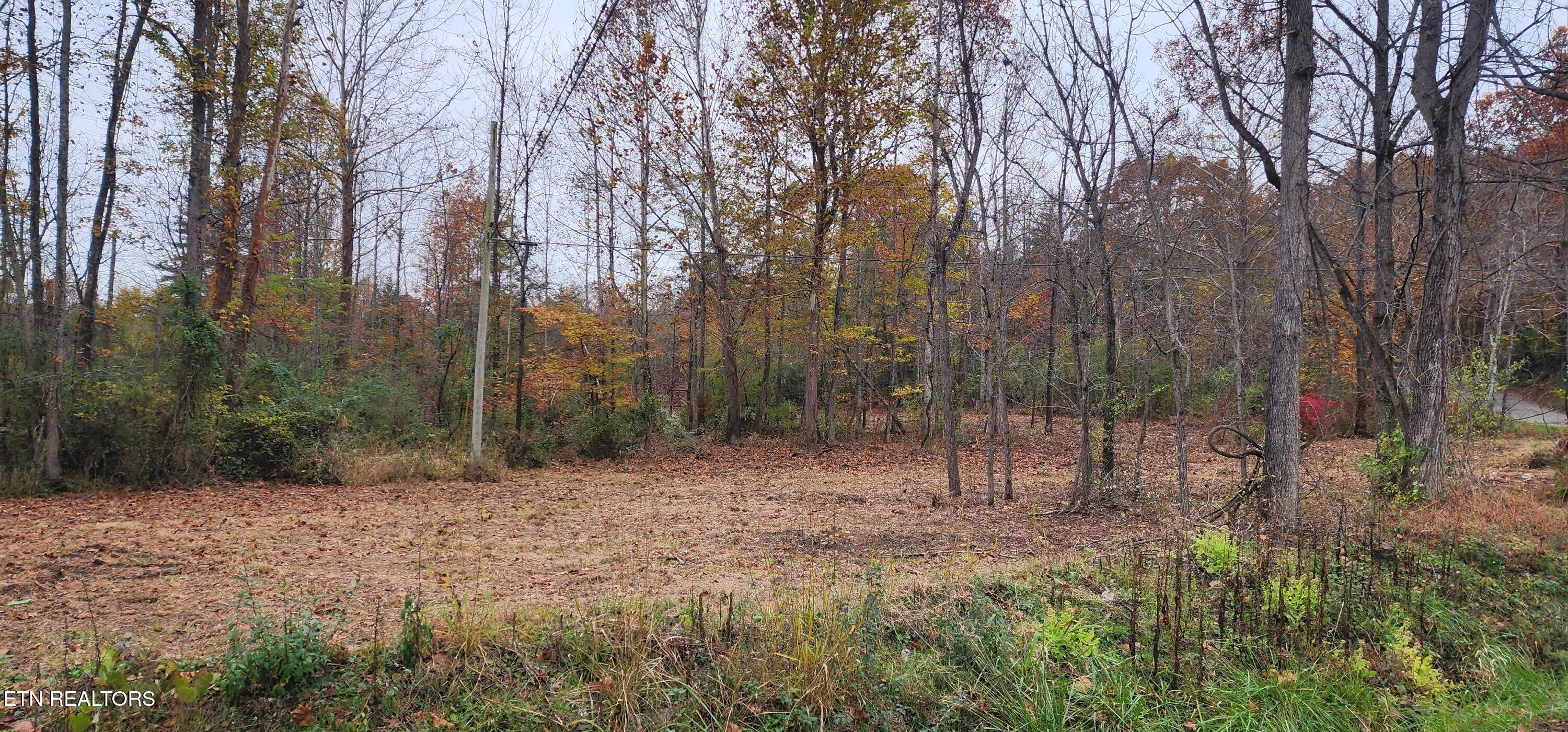 611 Edward Smith Road Robbins, TN 37852 - Photo 5 of 28 20251101_160633