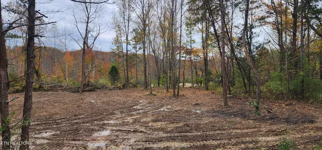 $82,000 | 611 Edward Smith Road, Robbins, TN 37852