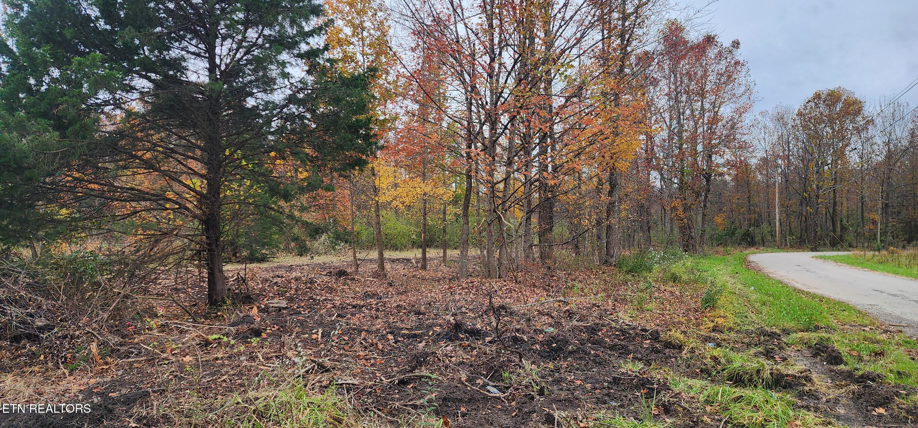 611 Edward Smith Road Robbins, TN 37852 - Photo 7 of 28 20251101_160254 (2)