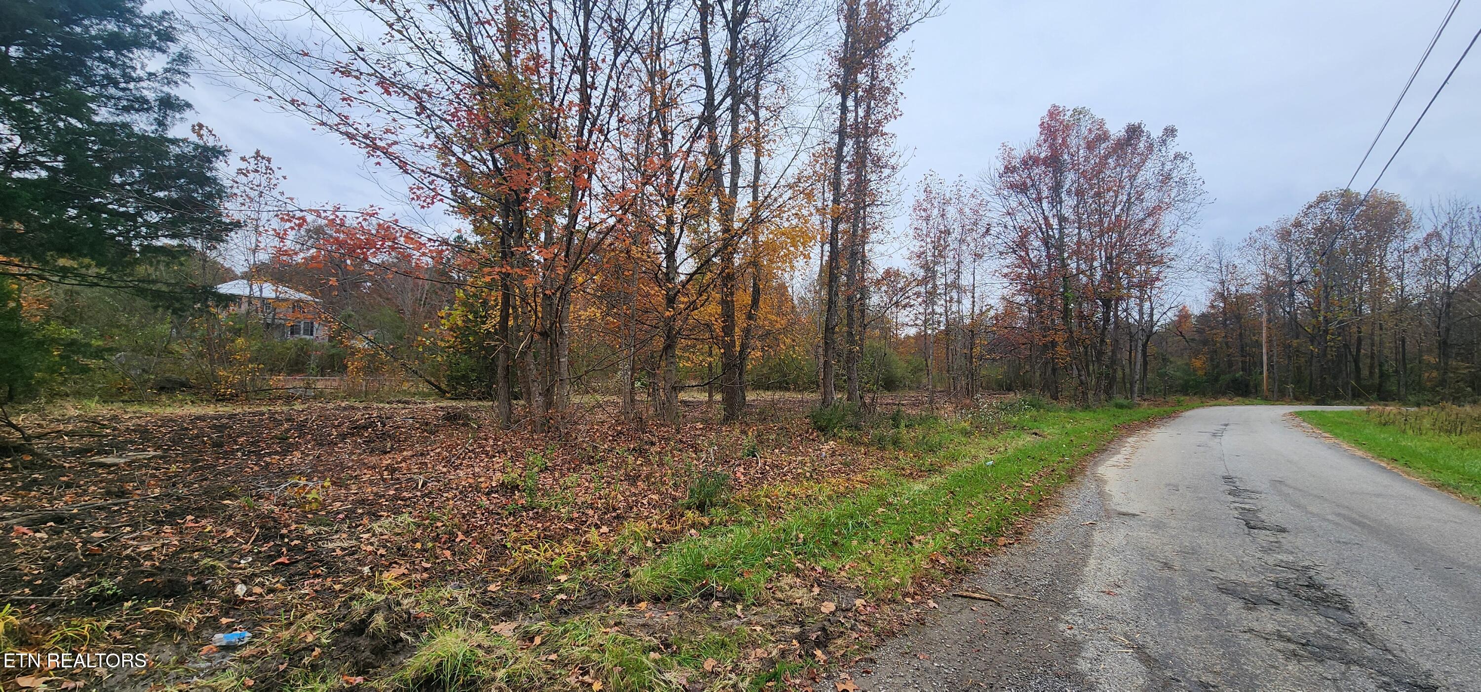 611 Edward Smith Road Robbins, TN 37852 - Photo 8 of 28 20251101_160556