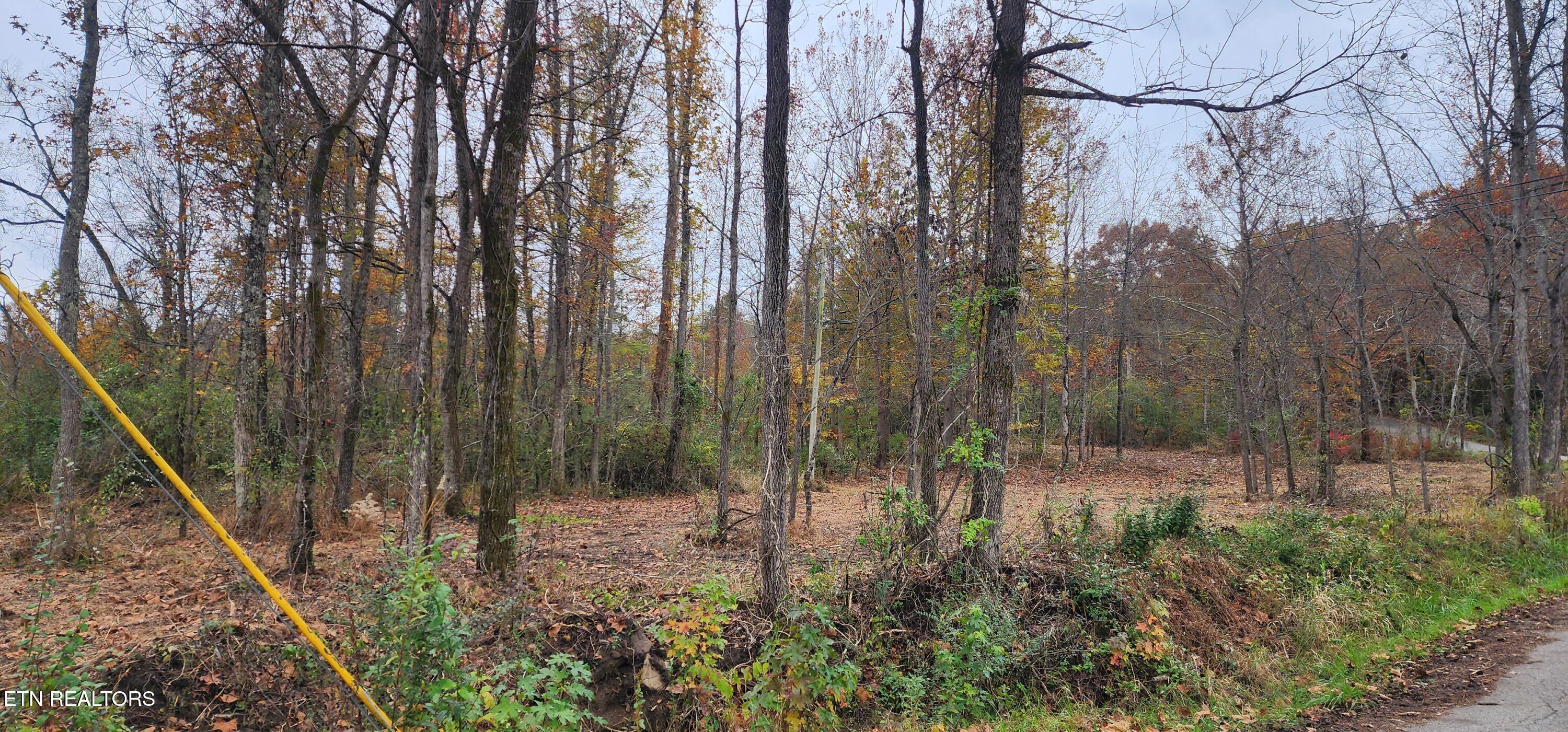 611 Edward Smith Road Robbins, TN 37852 - Photo 9 of 28 20251101_160621