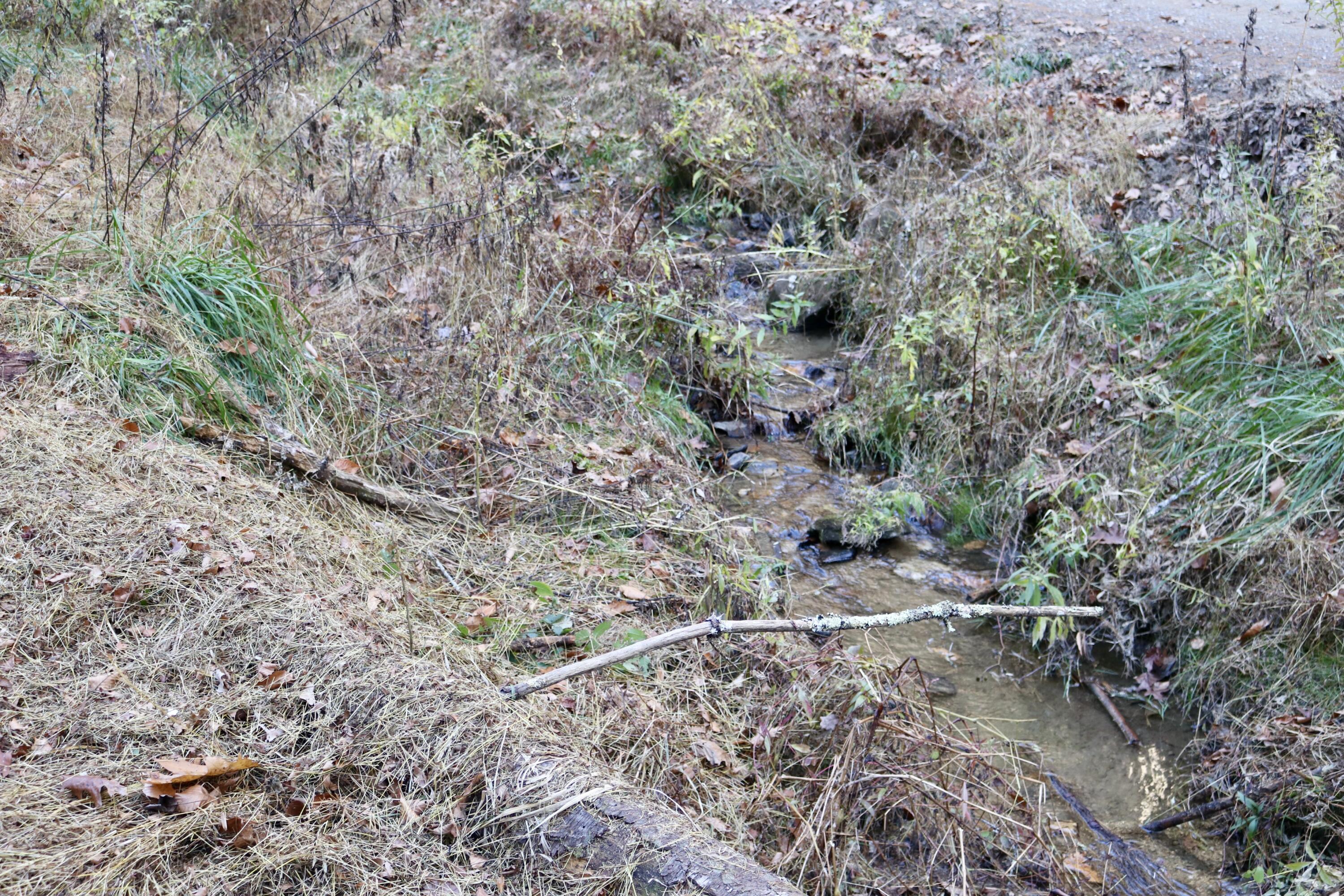 541 Goose Creek Run Northeast Check, VA 24072 - Photo 13 of 22 a view of a dry yard with and trees