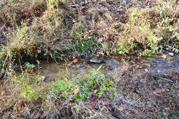 $49,000 | 541 Goose Creek Run Northeast, Check, VA 24072