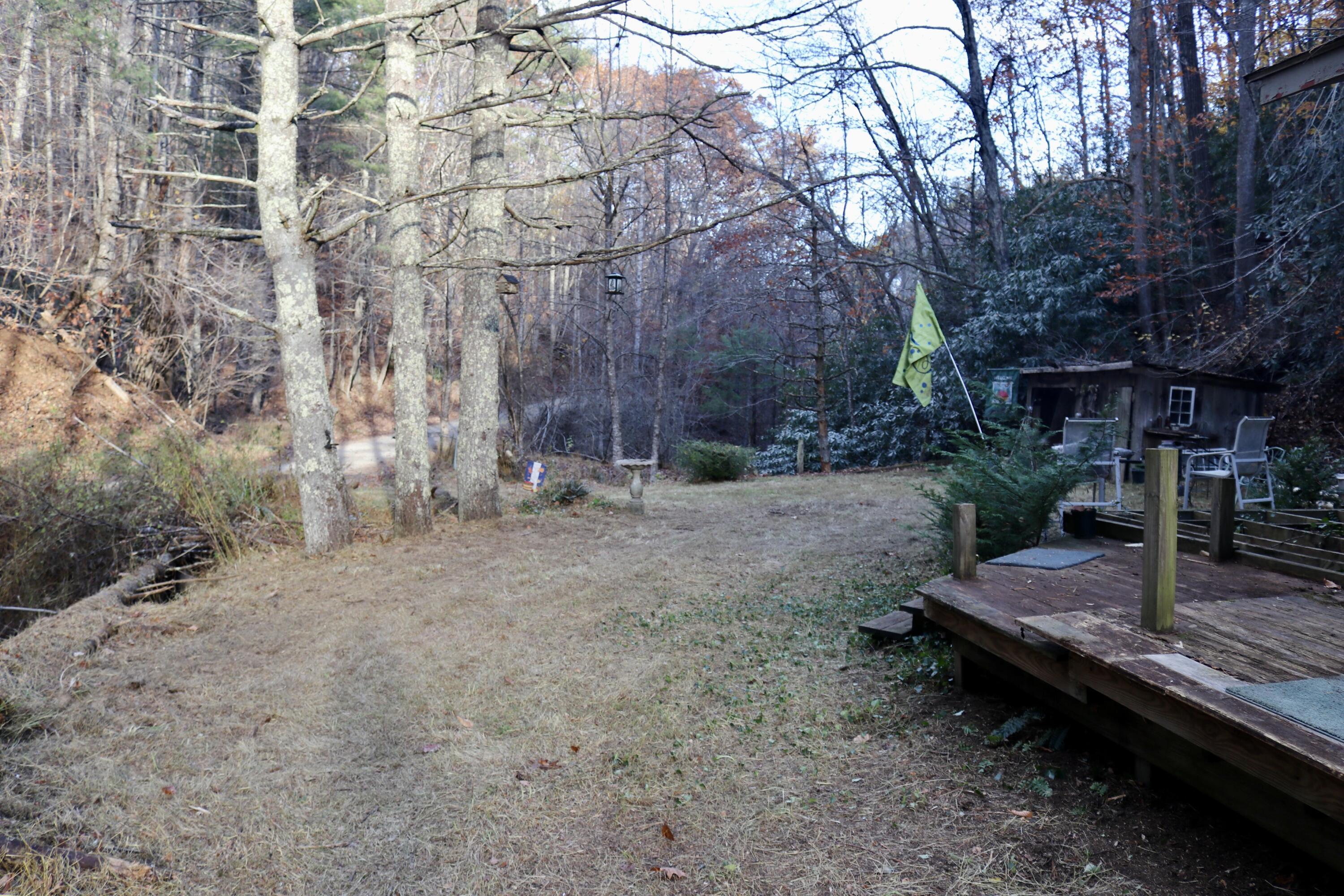 541 Goose Creek Run Northeast Check, VA 24072 - Photo 8 of 22 a view of a backyard with large trees