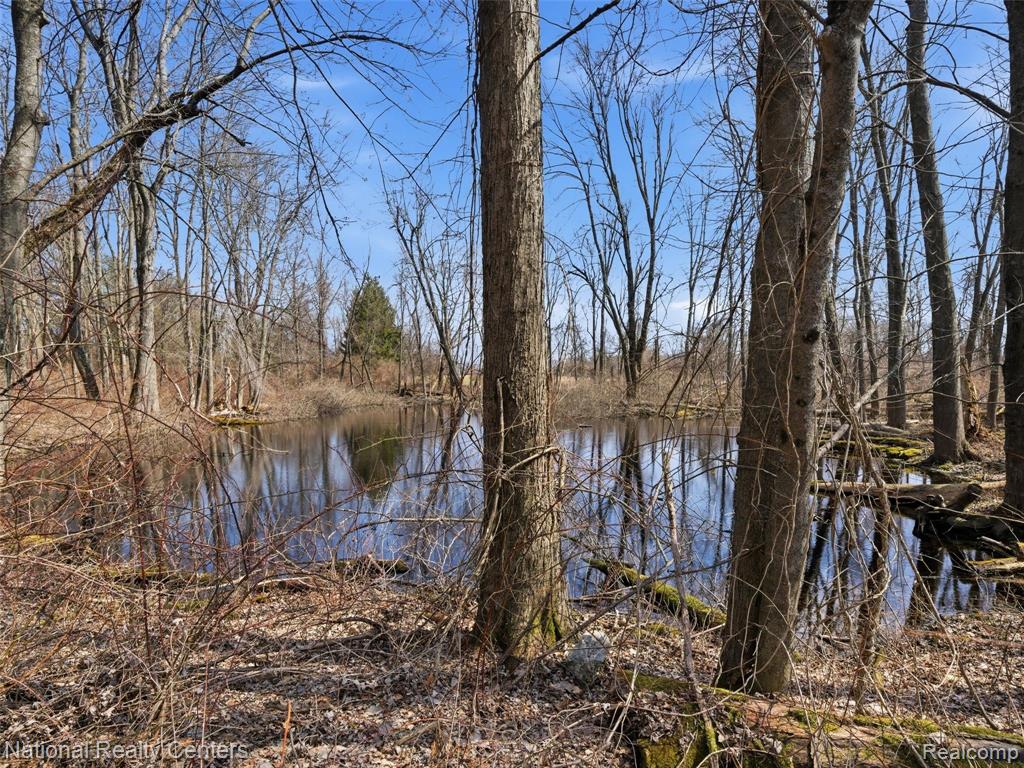675 West Leonard Road Leonard, MI 48367 - Photo 41 of 45