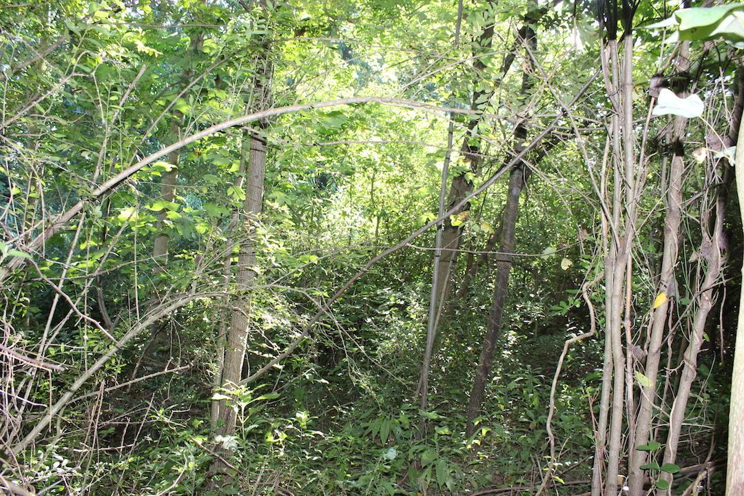0 Franklin Valley Road Jackson, OH 45640 - Photo 13 of 46