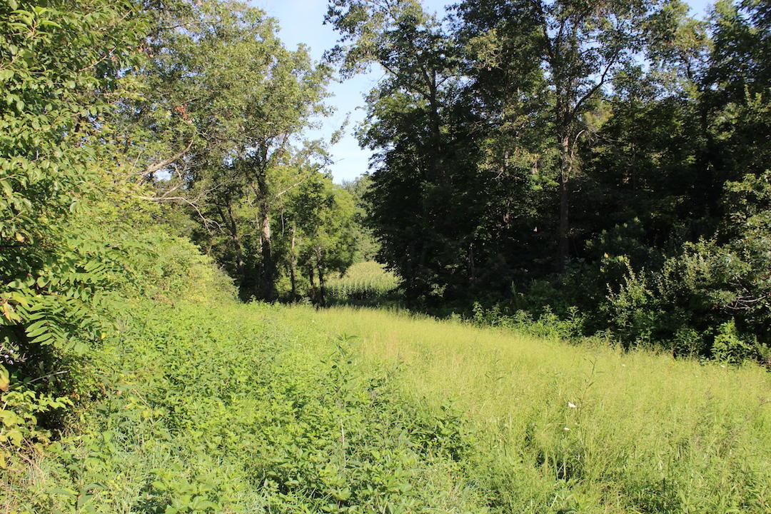 0 Franklin Valley Road Jackson, OH 45640 - Photo 14 of 46