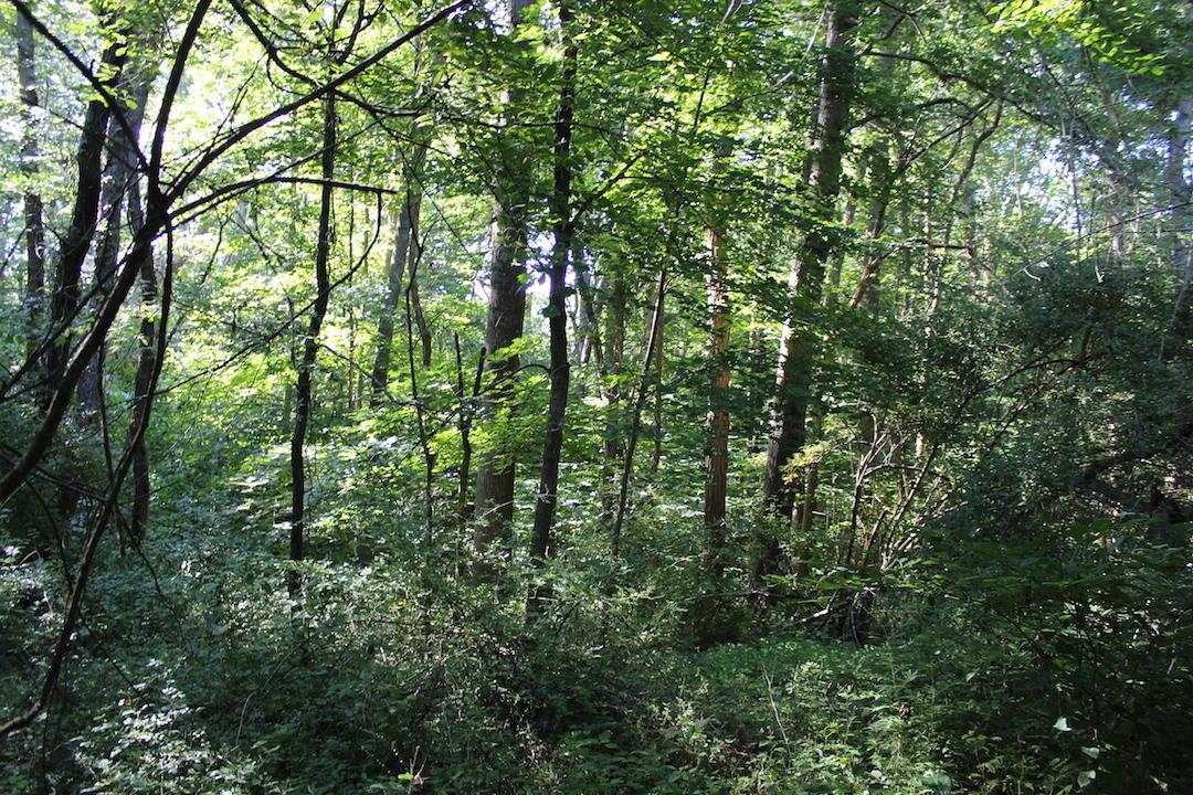0 Franklin Valley Road Jackson, OH 45640 - Photo 16 of 46